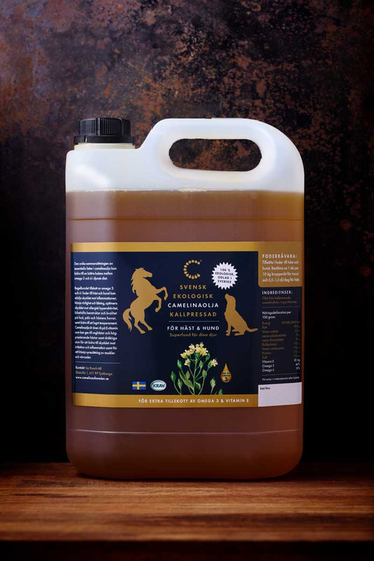 CAMELINAOLJA FÖR HÄST & HUND KRAV, 5 Liter